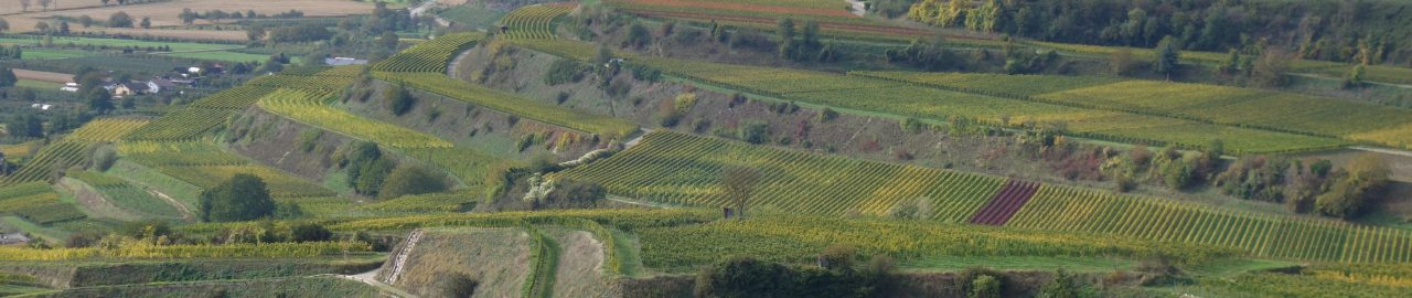 Rheinhessen