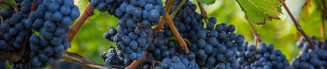 Weißwein