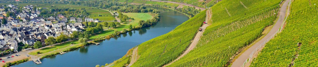 Mosel