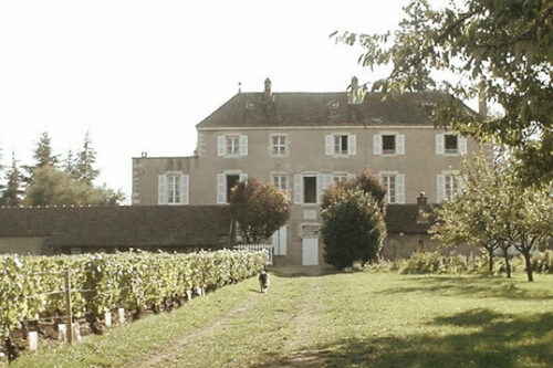 Domaine de la Folie - Rully